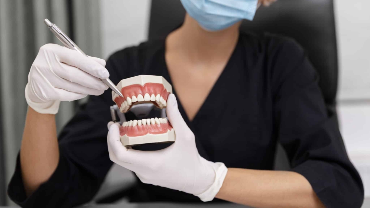 cerrar-dentista-sosteniendo-el-modelo-de-dientes