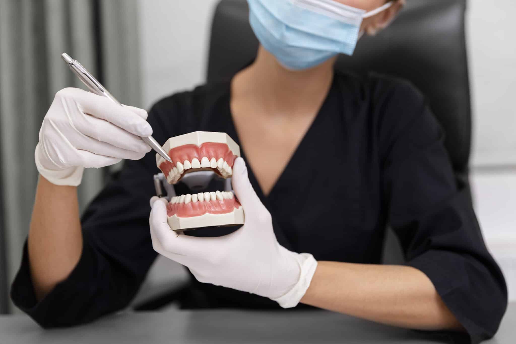 cerrar-dentista-sosteniendo-el-modelo-de-dientes