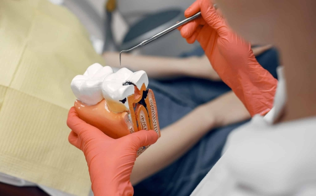 Clinica Dental 74 endodoncia
